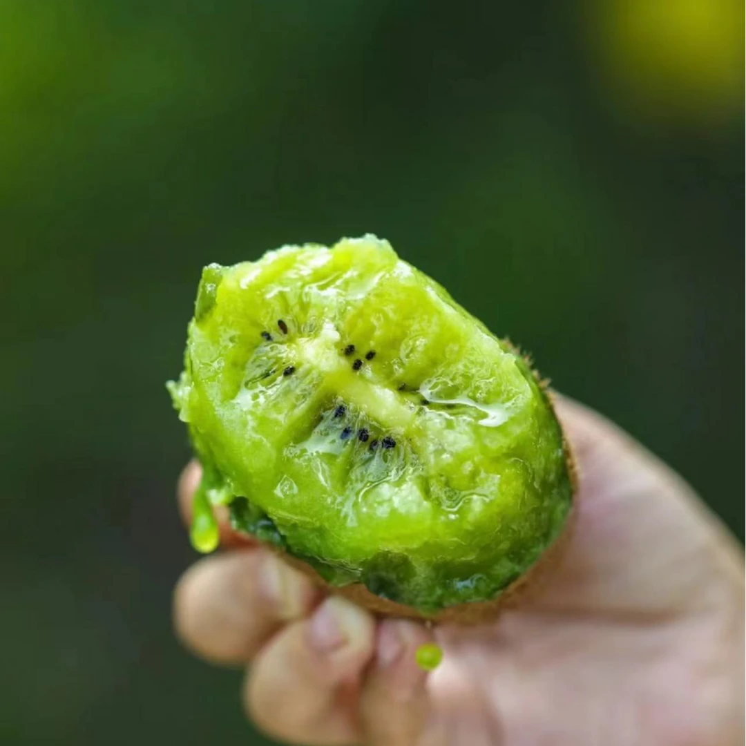 Y 【2箱原箱】好吃的阳光奇异果（箱）仅限太原六城区榆次可拍