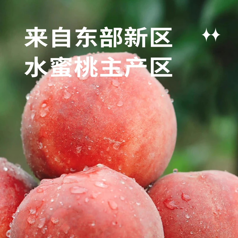 东部新区 ”天府东山农场“ 正宗水蜜桃龙泉山阳面轻松撕皮爆汁味美
