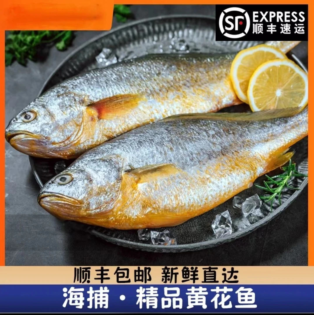 东海野生黄花鱼 5-7两/斤 现抓现卖 冰鲜真空处理包装顺丰包邮