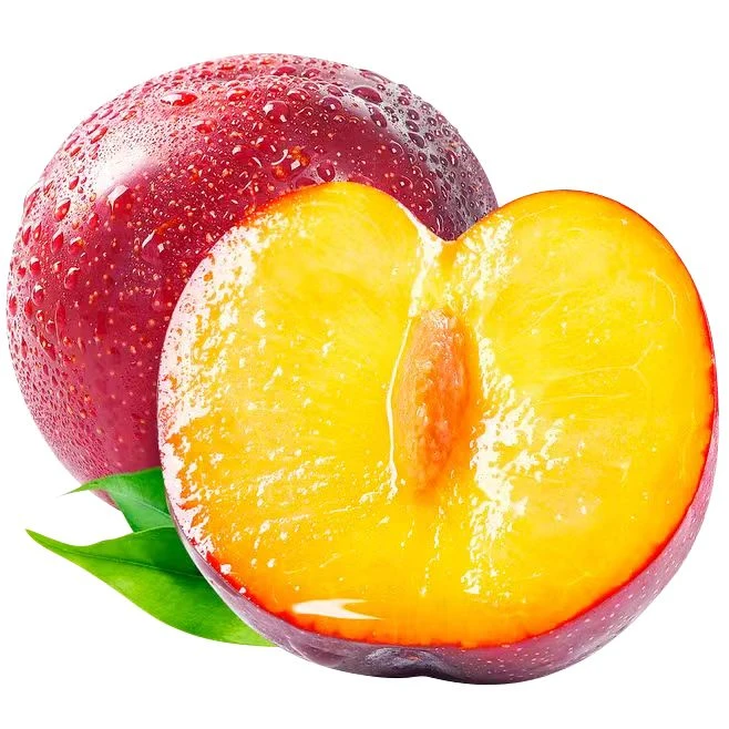 李子10斤又大又甜包熟 口感好