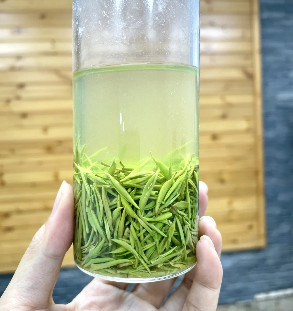 2023新茶 A12（老旱茶）小芽 高山老茶树茶叶绿茶