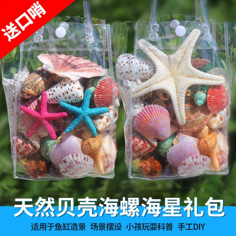 天然贝壳海螺摆件海星手工鱼缸水族箱富士泰造景儿童玩具小礼物