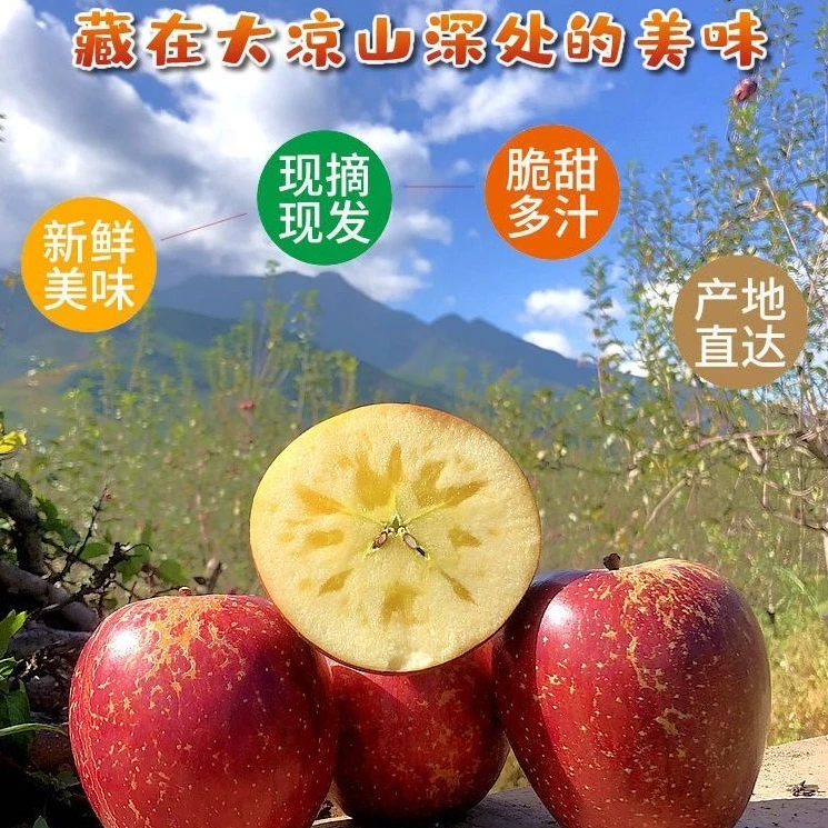 2024大凉山盐源糖心丑苹果新鲜当季现摘直发