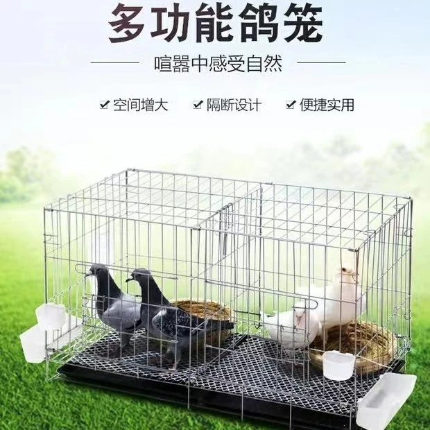 鸽子笼养殖鸟笼家用鸽子专用肉鸽笼子大号特大家养鸡鸽大尺寸元宝