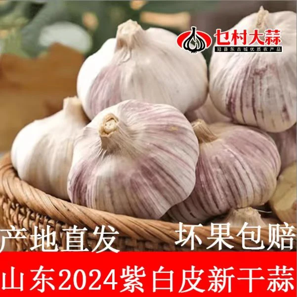 【山东大蒜】山东天然紫白皮大蒜头新鲜新干蒜3斤干大蒜头大瓣蒜