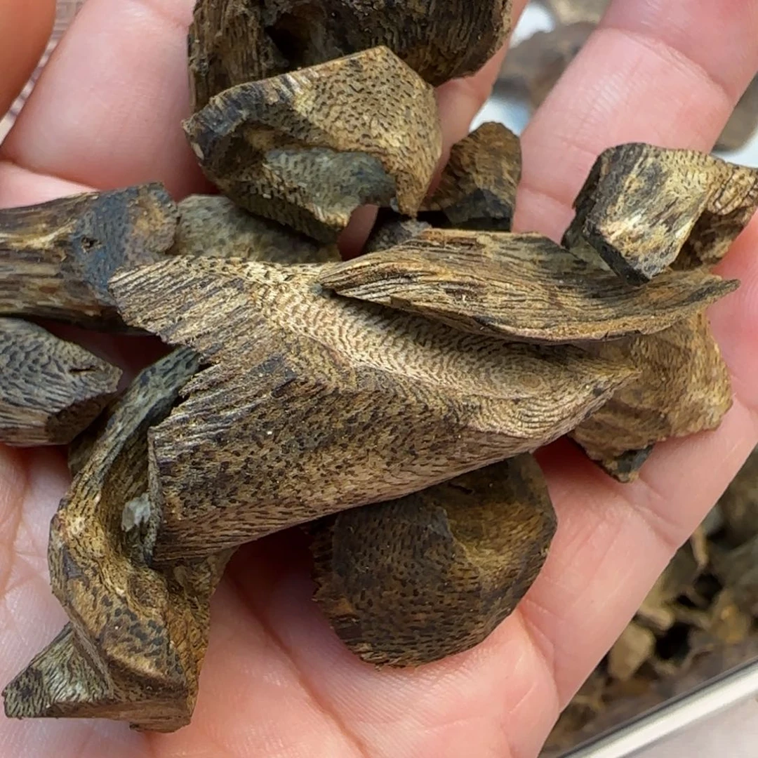 沉香摆件海南奇楠树丁20克多样性发货