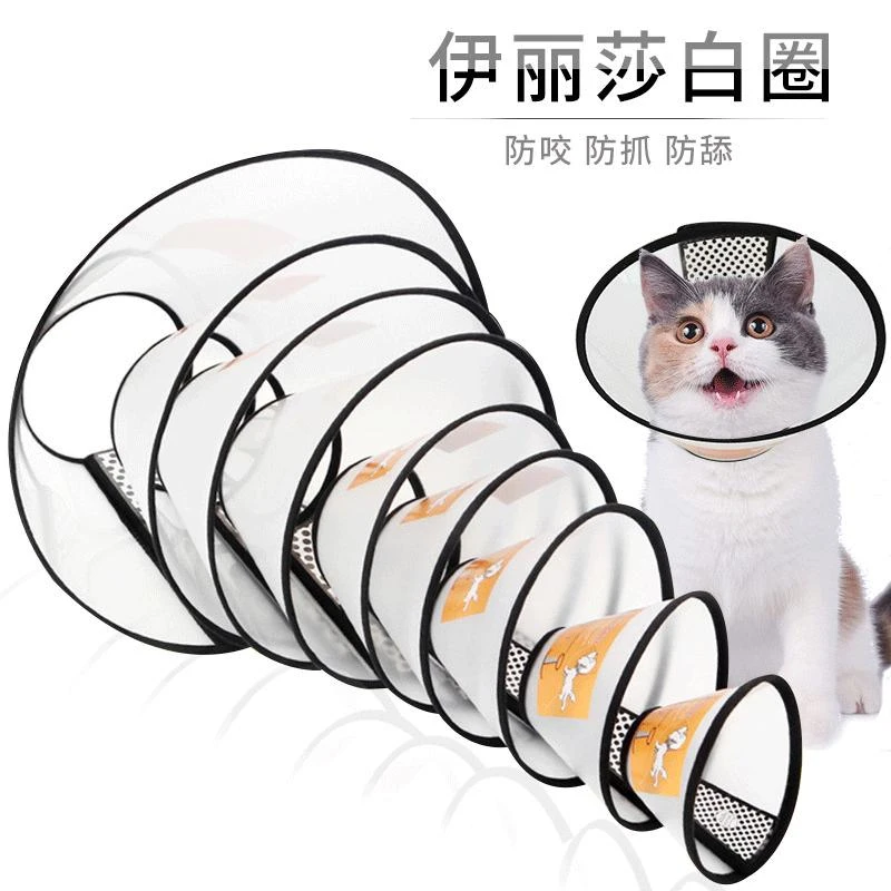 伊丽莎白圈狗狗猫咪项圈脖套防舔防抓咬绝育防护圈宠物必备物品