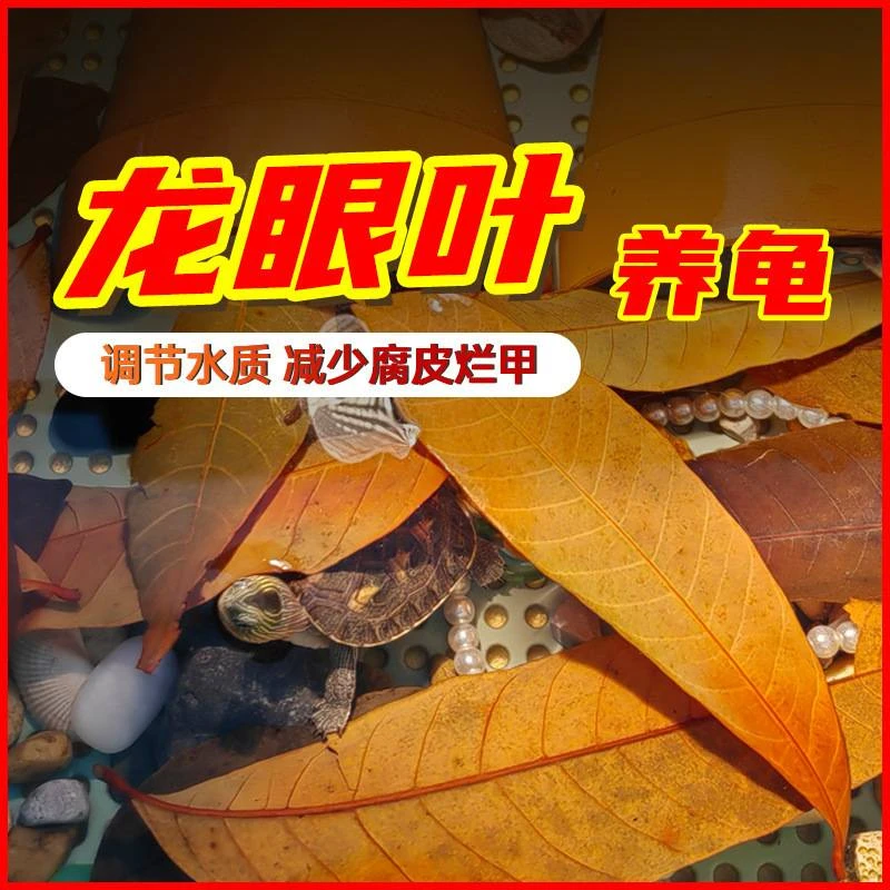 龙眼叶免煮乌龟叶腐皮烂甲躲避龟用养龟叶子龟缸周转箱改善水质