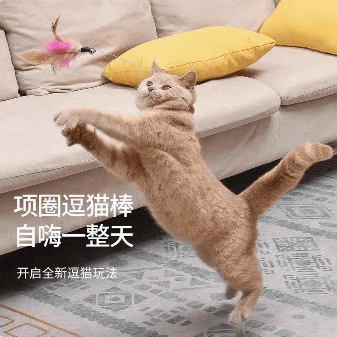 逗猫棒精致玩具项圈自嗨解闷耐咬成幼猫多功能通用可调节羽毛玩具