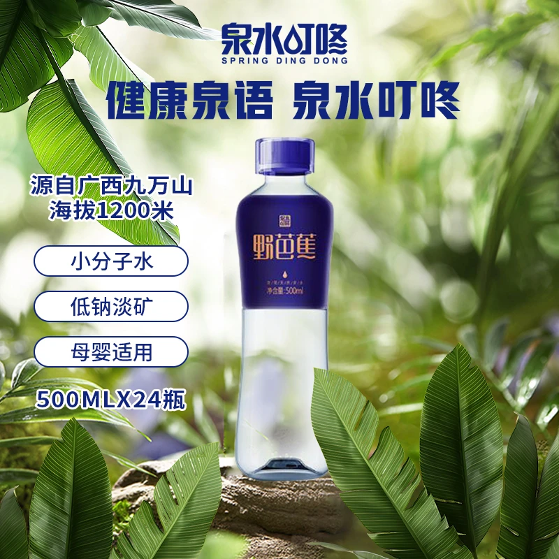 泉水叮咚 野芭蕉天然泉水500ml*24瓶 泡茶高端会议煲汤山泉水
