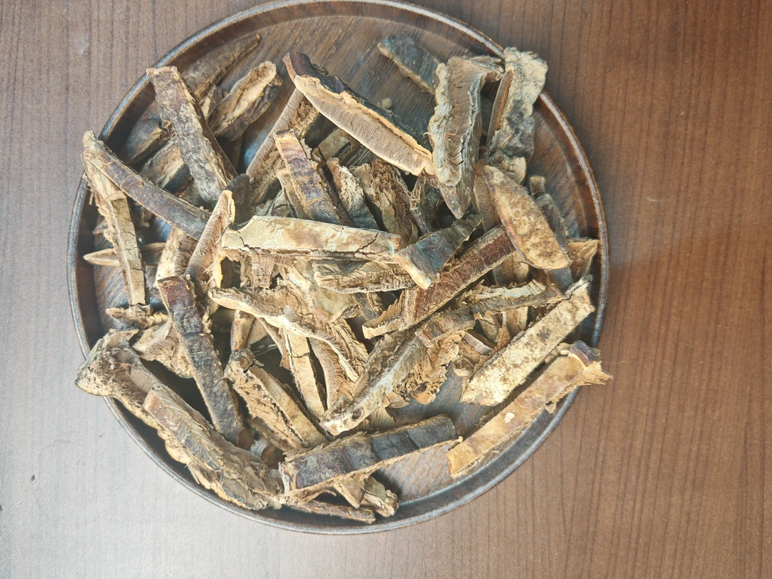 广西无柄赤灵芝切片250g