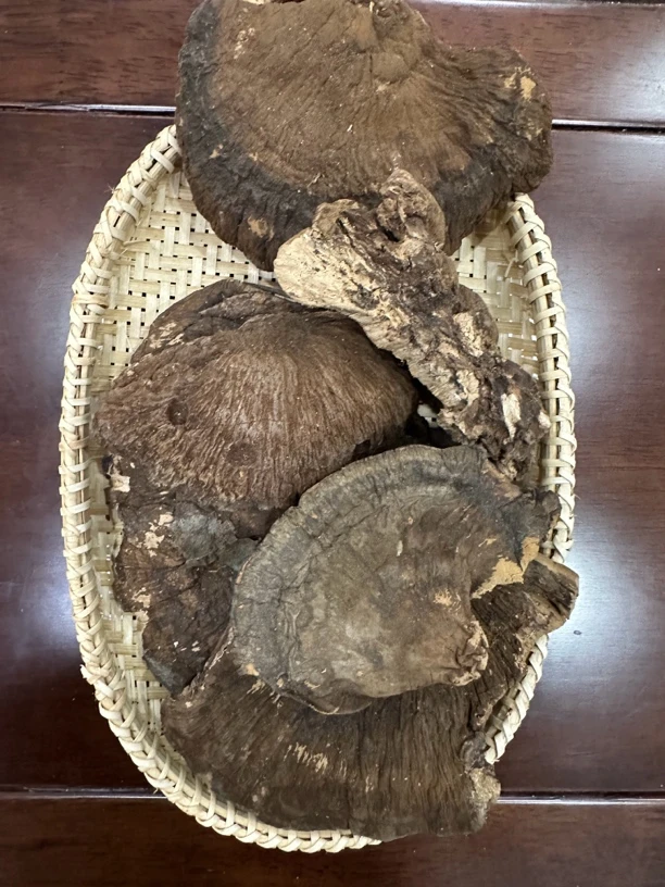 薄皮纤孔菌500薄皮灵芝稀针孔菌