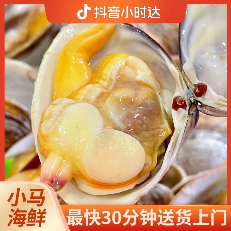 黄蚬子2斤，可以做熟