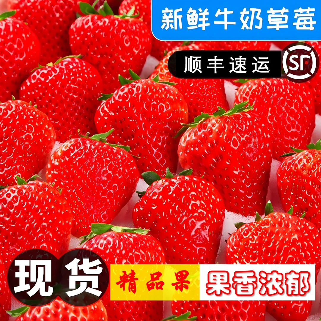 【顺丰空运】S牛奶草莓大凉山新鲜现摘现发饱满香甜浓郁9甜1酸果香