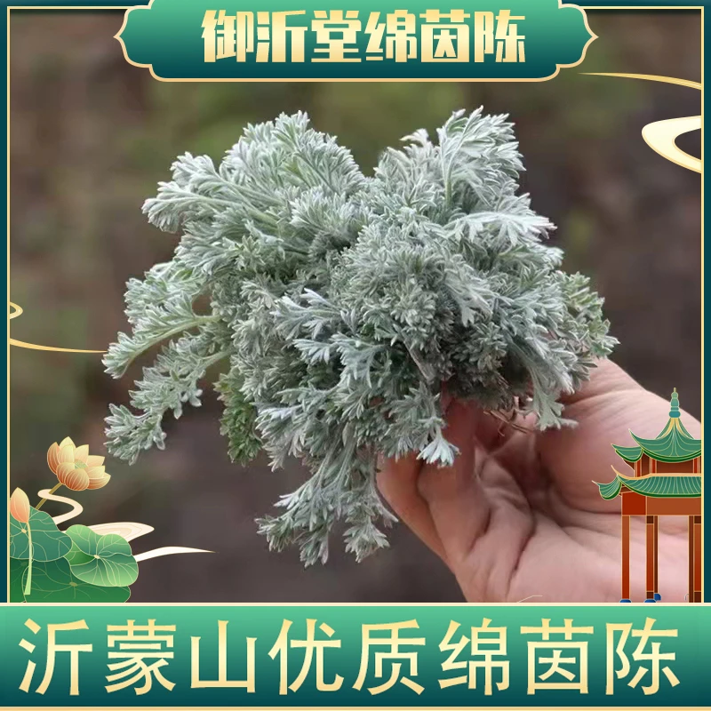御沂堂 正月绵茵陈茶 100g一罐 送红枣干