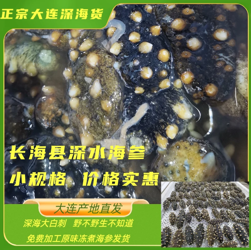 【特价款】深海冻煮海参