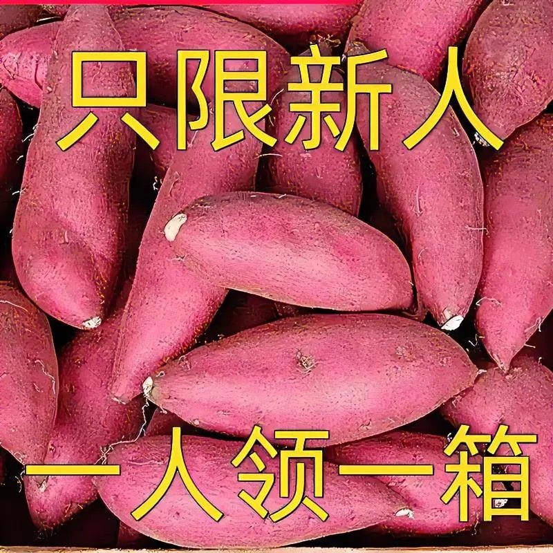 新鲜沙地红薯软糯黄心蜜薯1/9斤自家种植现挖现发坏果包赔地瓜甜.