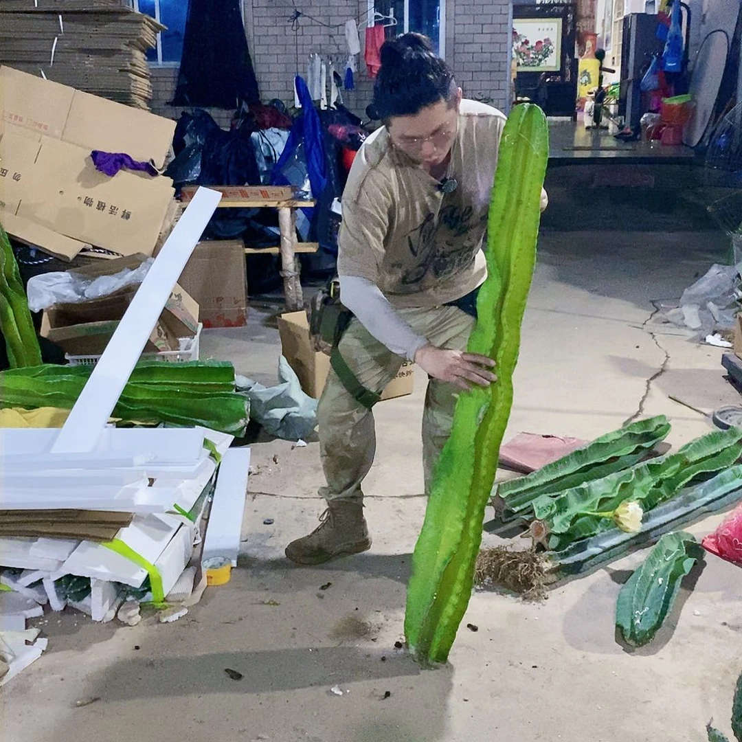 秘鲁苹果130公分左右有根