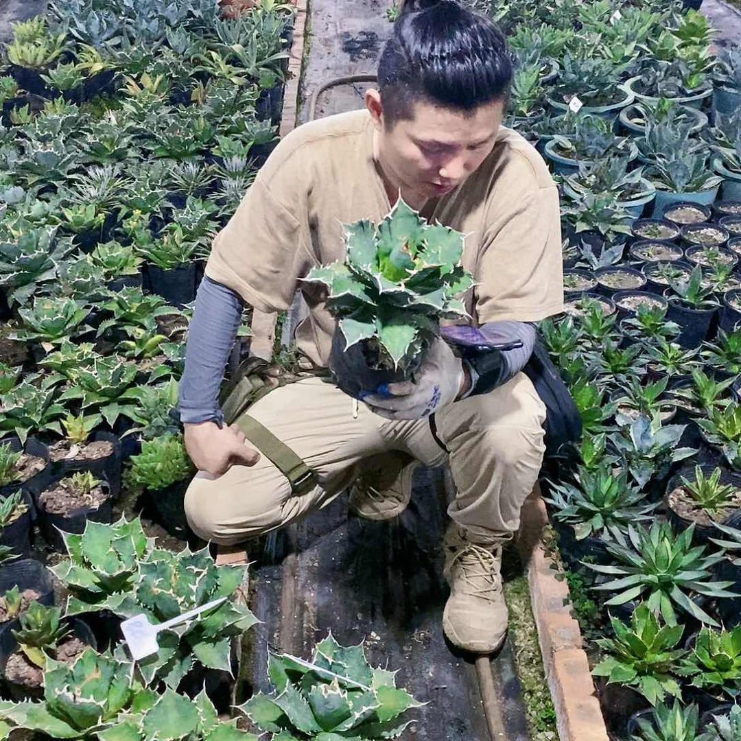 福白冠服25公分左右