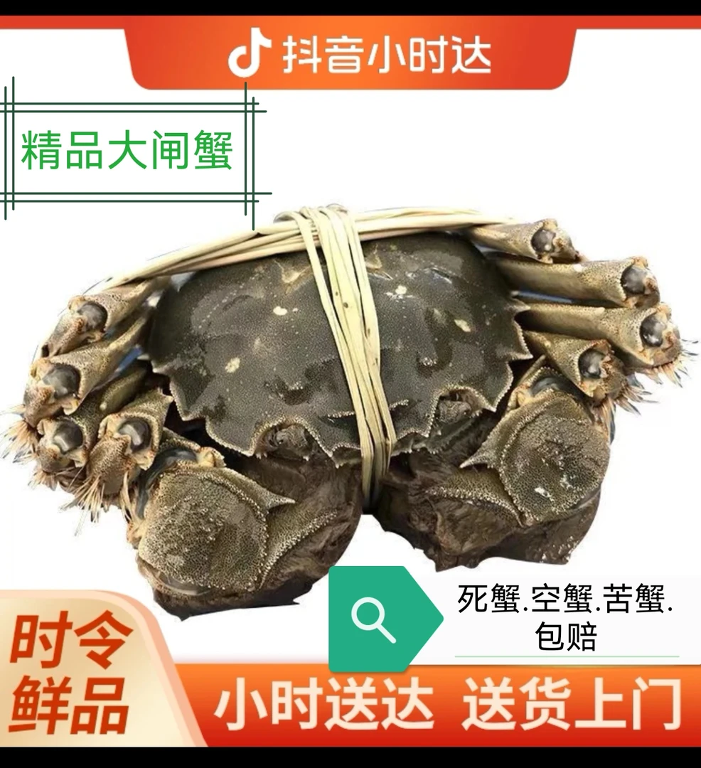 精品公蟹2.5-2.8两1只（鲜活大闸蟹）