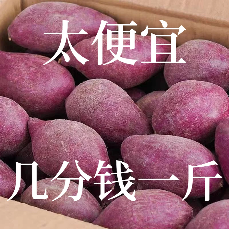 【现挖现发】新鲜紫薯紫罗兰红薯1-9斤番薯地瓜紫心蜜薯蔬菜板栗薯