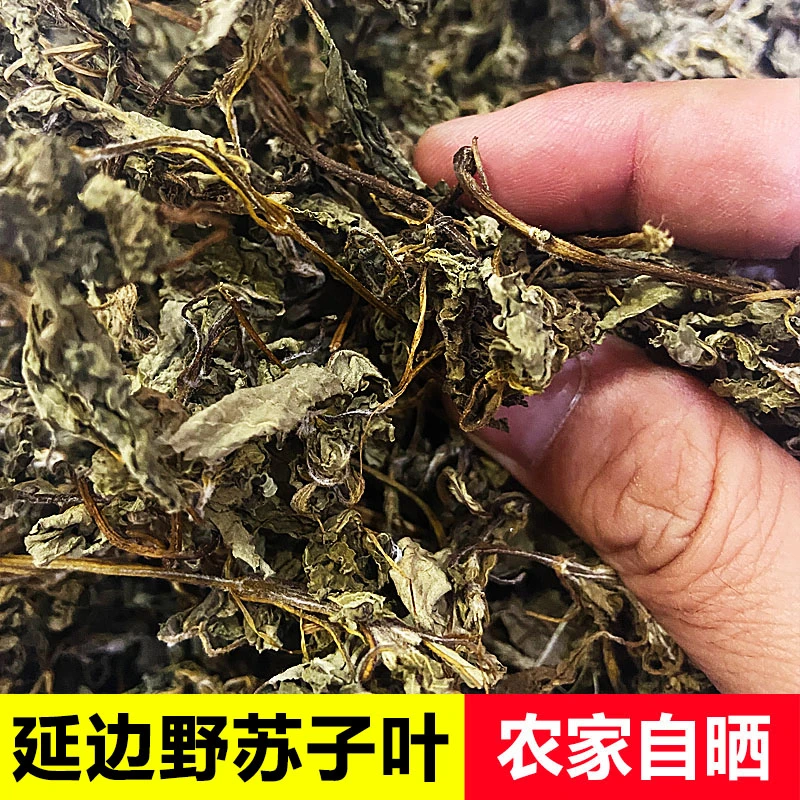 【延边特产】正宗野苏子叶干朝鲜族延城干货肉酱鱼汤用调料东北干菜