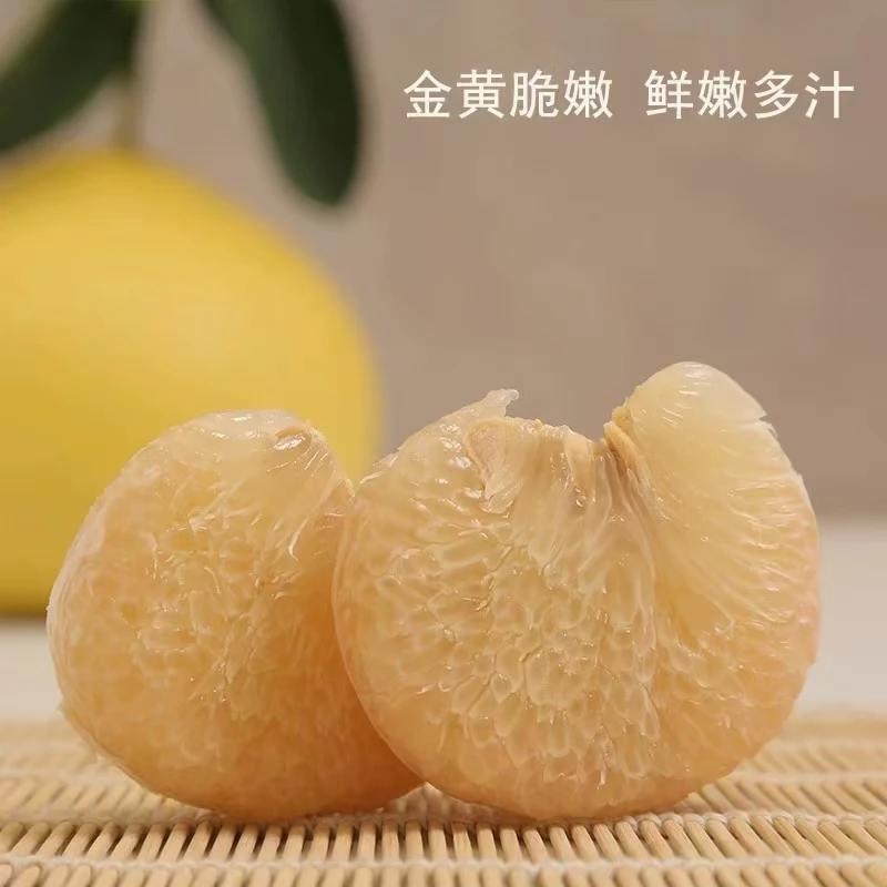 玉环正宗文旦柚绿色食品孩子孕妇老人都可以吃果园直发