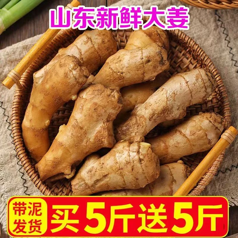 【青青】正宗山东大黄姜农家特级老姜干姜鲜姜非月子姜小黄姜产地直
