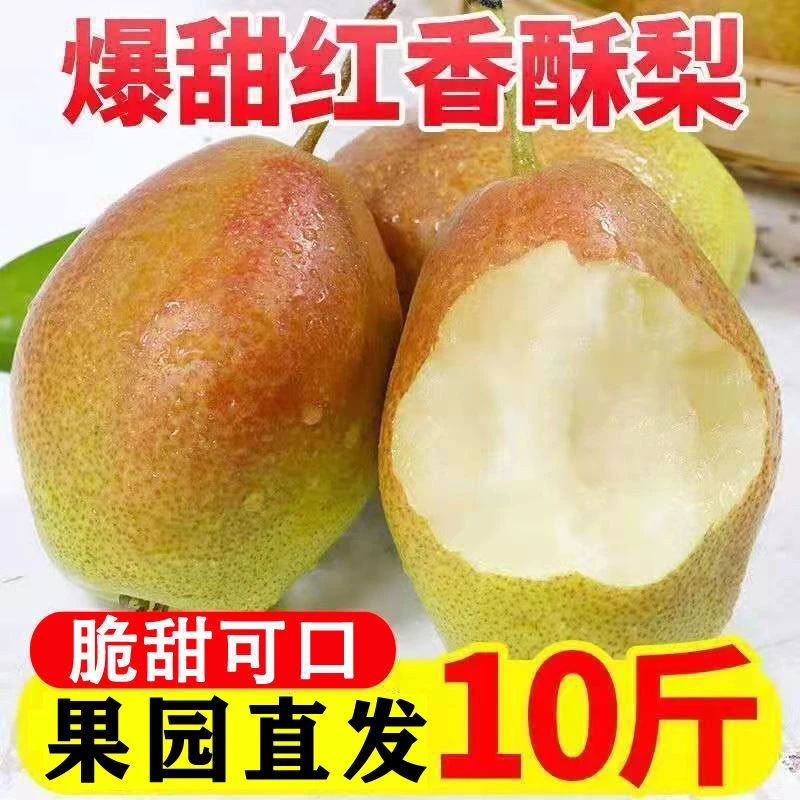 【青青】红香酥梨新鲜应季水果酥梨3/5/源自库尔勒香梨脆甜皮薄
