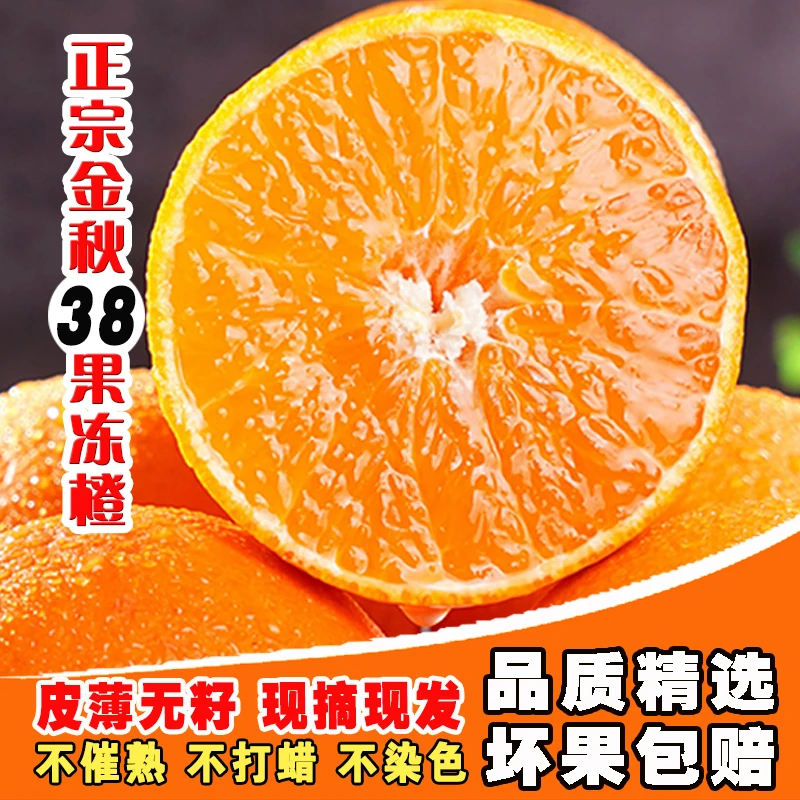 【皮薄·爆汁】四川金秋38号果冻橙子手剥橙净重5/8斤新鲜水果好吃