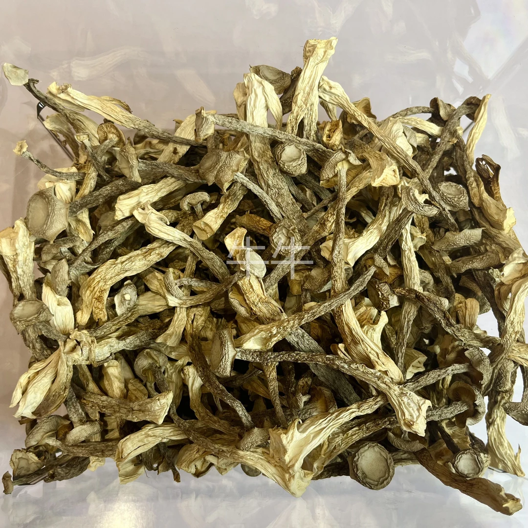 【鹿茸菇】无硫农产品鹿茸菇干货可煲汤炖汤蒸煮焖