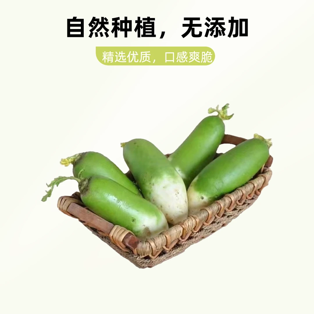 河南本地现挖白萝卜