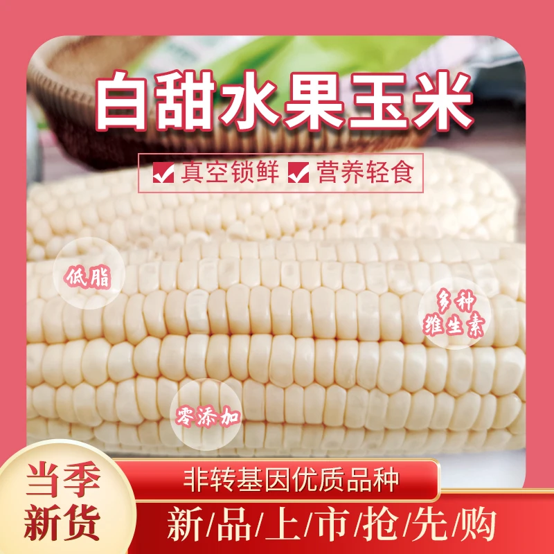 水果玉米脆甜多汁粗粮代餐 透明袋独立真空包装 免蒸煮
