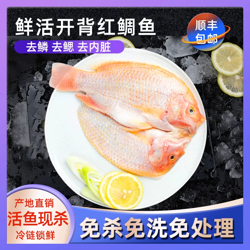 【赠品链接勿拍】350~400g/条红鲷鱼去鳞去鳃去内脏免处理刺少肉多