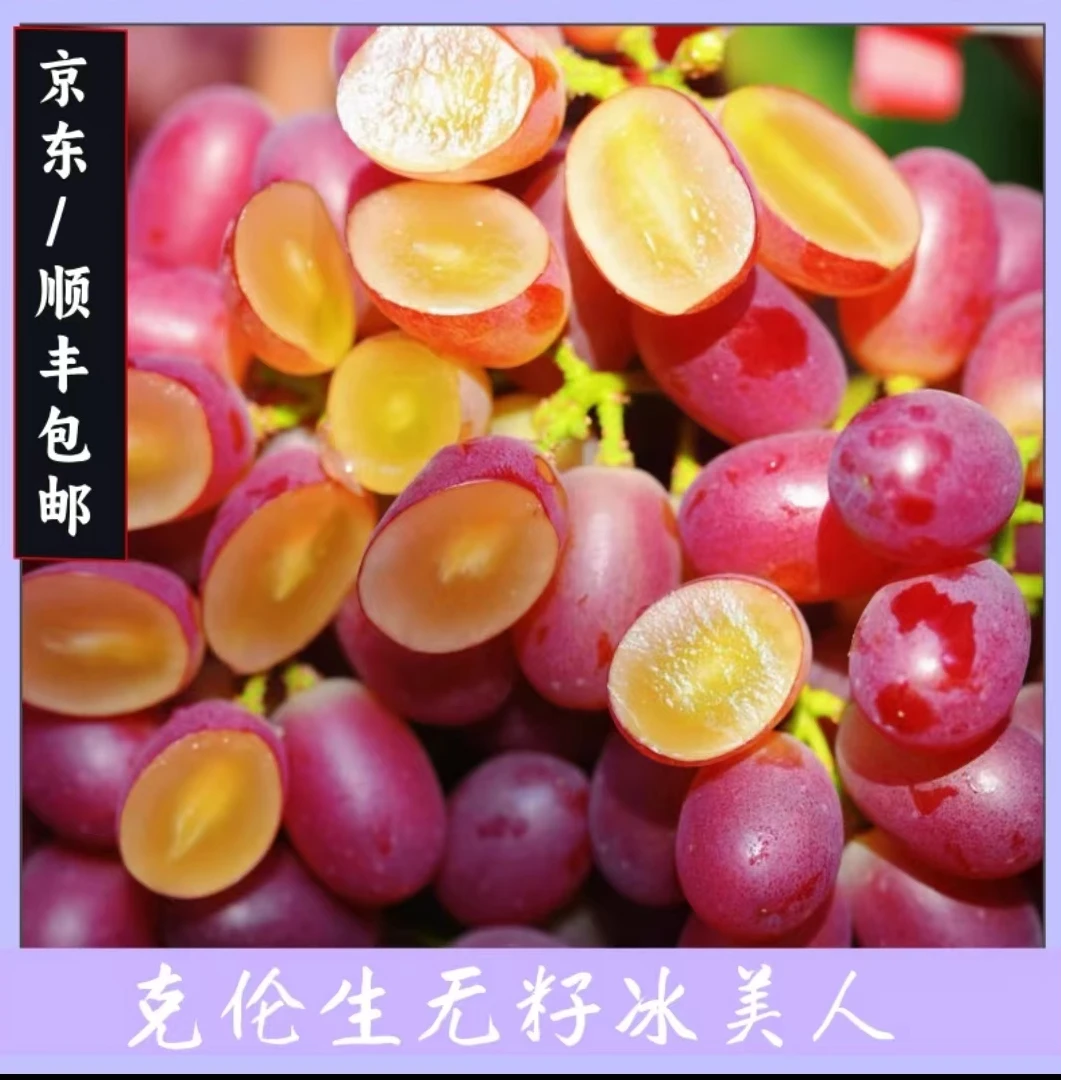 【顺风包邮】新鲜克伦生无籽红提子当季新鲜孕妇水果手指葡萄