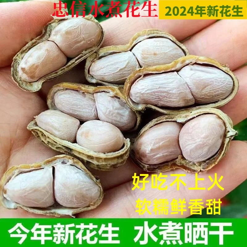 水煮日晒带壳花生软口不脆有嚼劲美味咸干零食