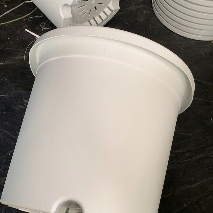 红陶20CM(含)-50CM(不含)W32白无4个
