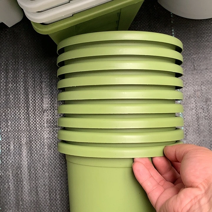 红陶20CM（含）-50CM（不含）17口果绿无托10个