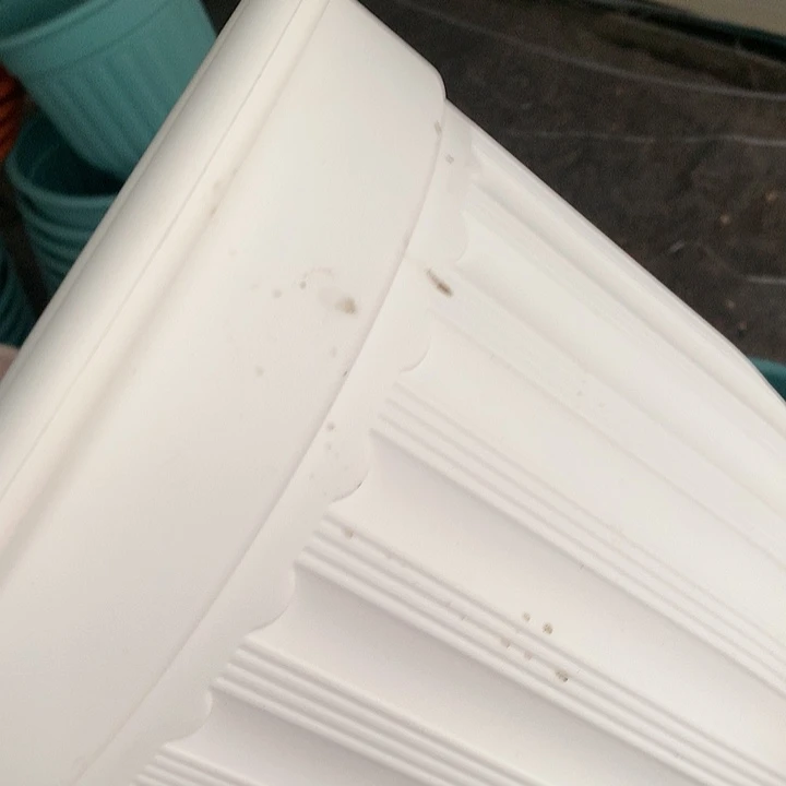树脂20CM（含）-50CM（不含）知****91028罗白