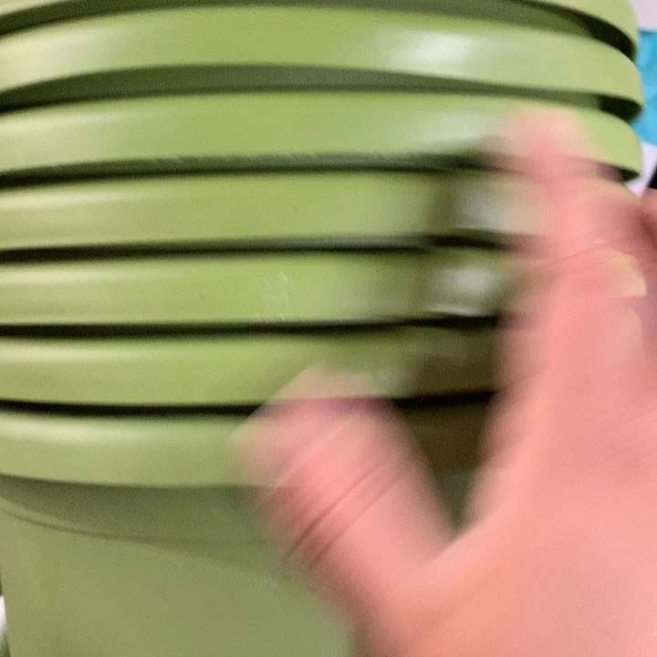 红陶20CM（含）-50CM（不含）25口果绿无托7个瑕疵