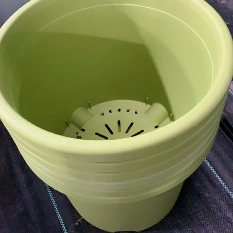 树脂20CM(含)-50CM(不含)6个29口果绿微瑕无托