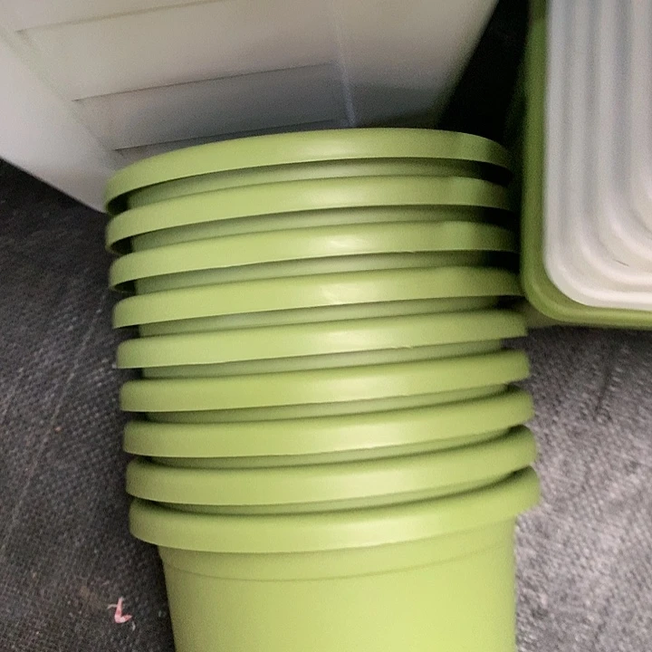 红陶20CM（含）-50CM（不含）17口果绿带拖10个