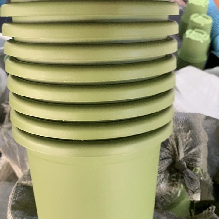 红陶20CM（含）-50CM（不含）17口果绿无托10个