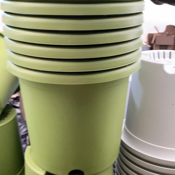 红陶20CM（含）-50CM（不含）25口果绿无托7个瑕疵