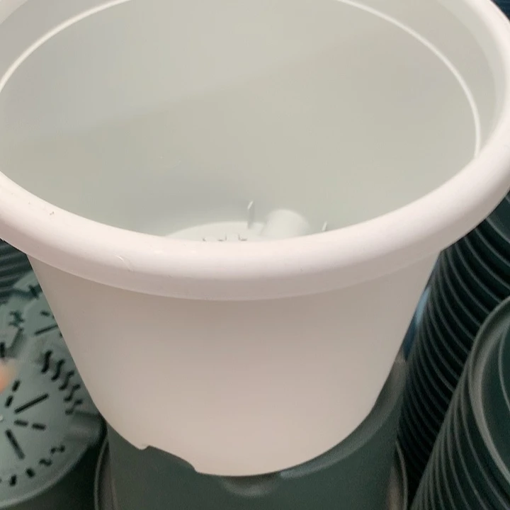 红陶20CM（含）-50CM（不含）用****02021白带