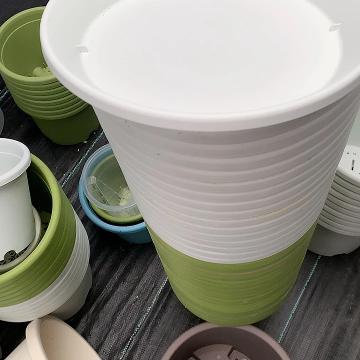 红陶20CM（含）-50CM（不含）林***你225配套拖