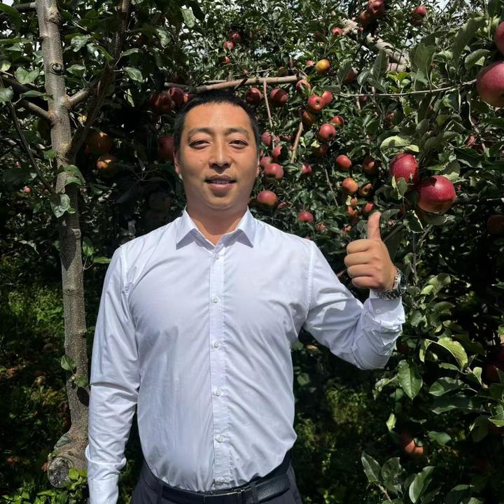 大凉山盐源丑苹果脆甜多汁5斤包邮