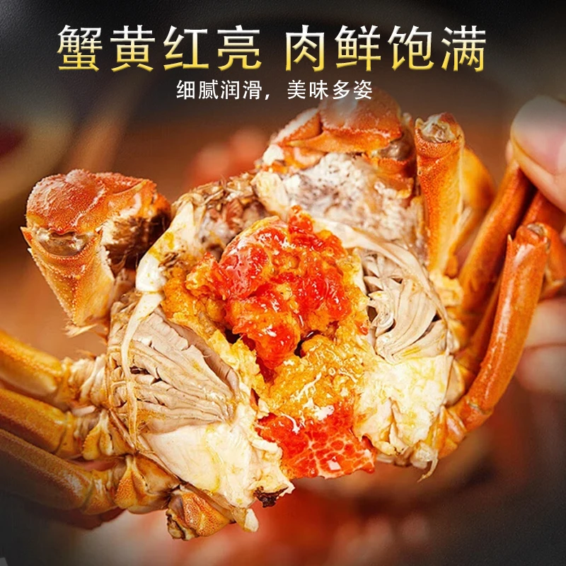 【活蟹现发】阳澄湖大闸蟹公蟹3.5两/1只母蟹2.5两/1只顺丰包邮塘蟹