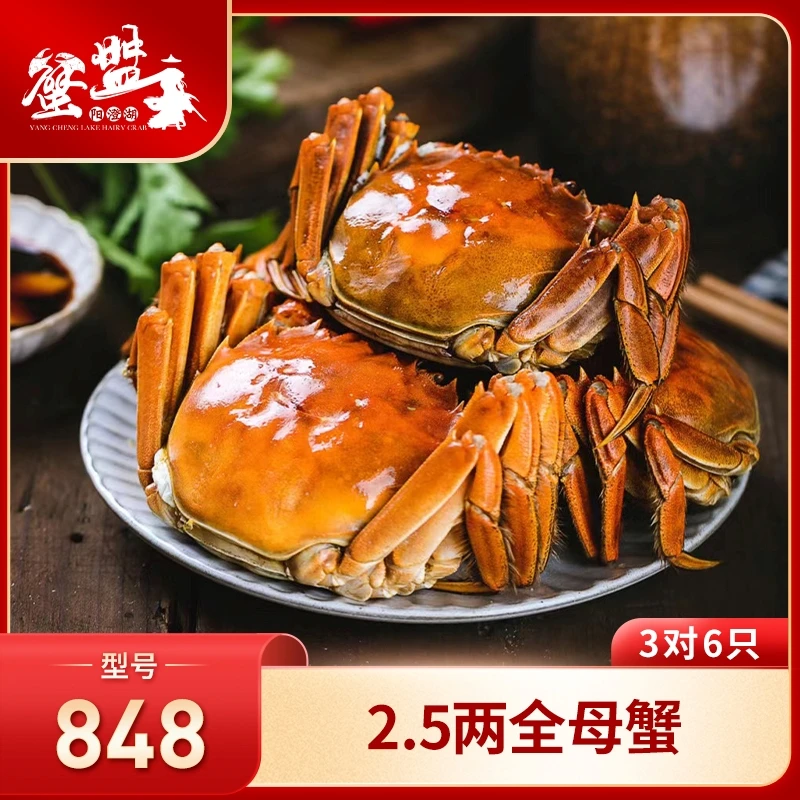 蟹盟主【活蟹】阳澄湖大闸蟹848型 2.5两全母 3对6只【塘蟹】2