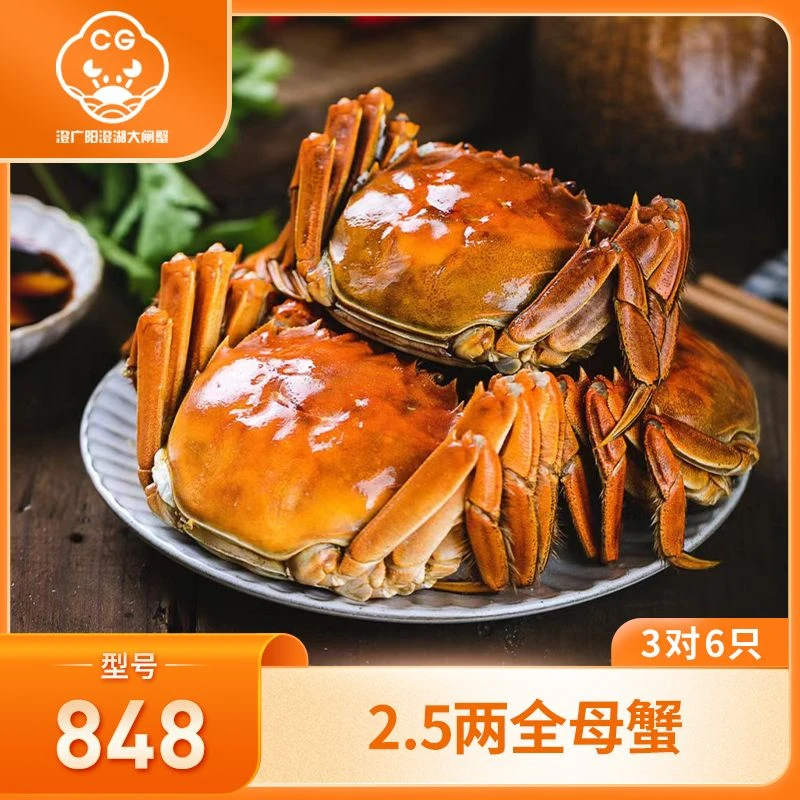 澄广【活蟹】阳澄湖大闸蟹848型2.5两全母蟹6只塘蟹